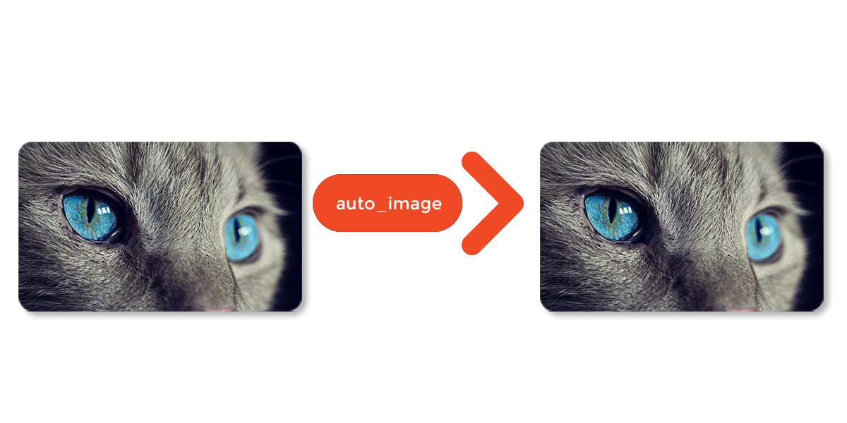 Auto Image Conversion